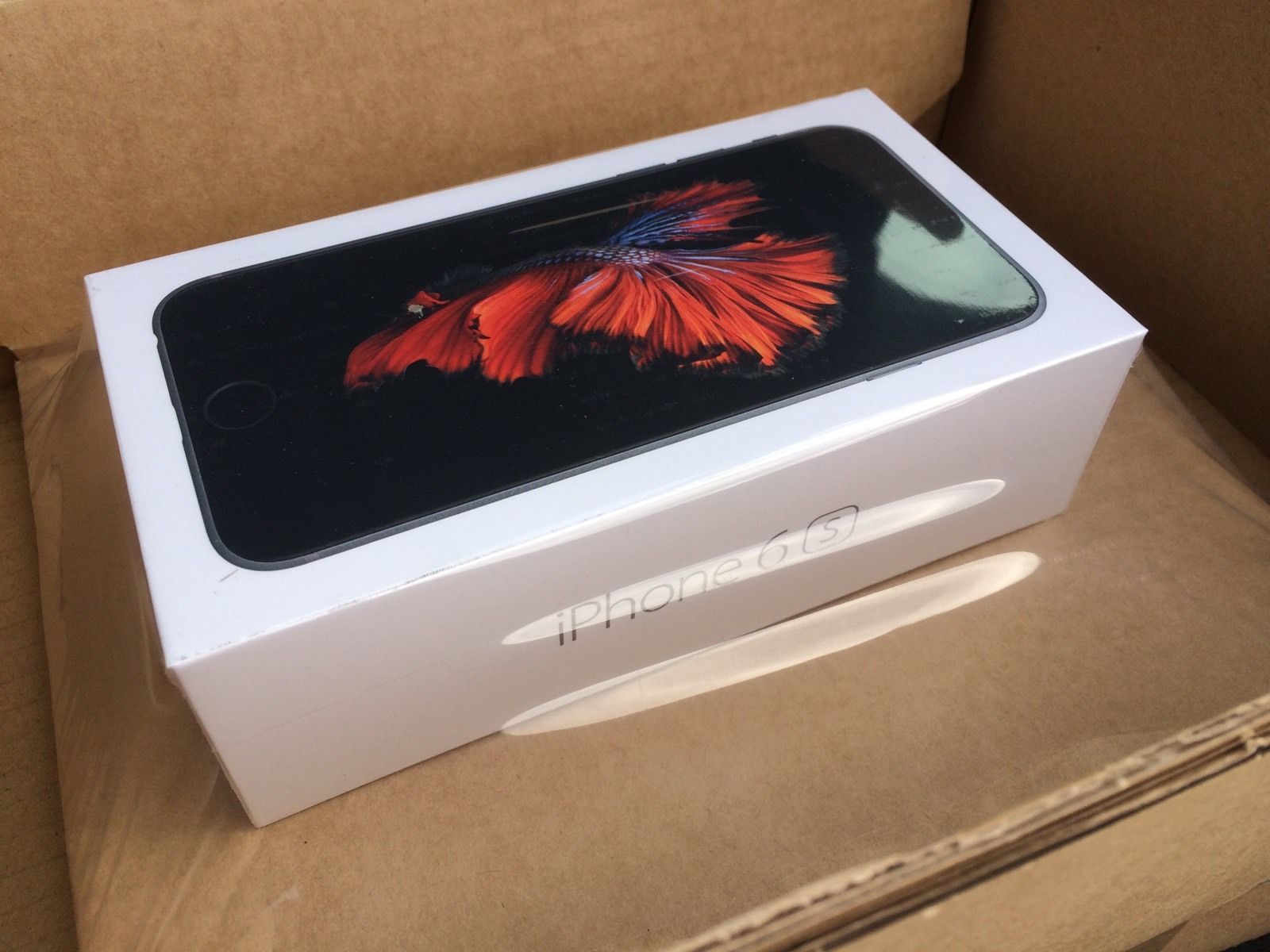Apple iPhone 6s 64 GB Space Gray.JPG
