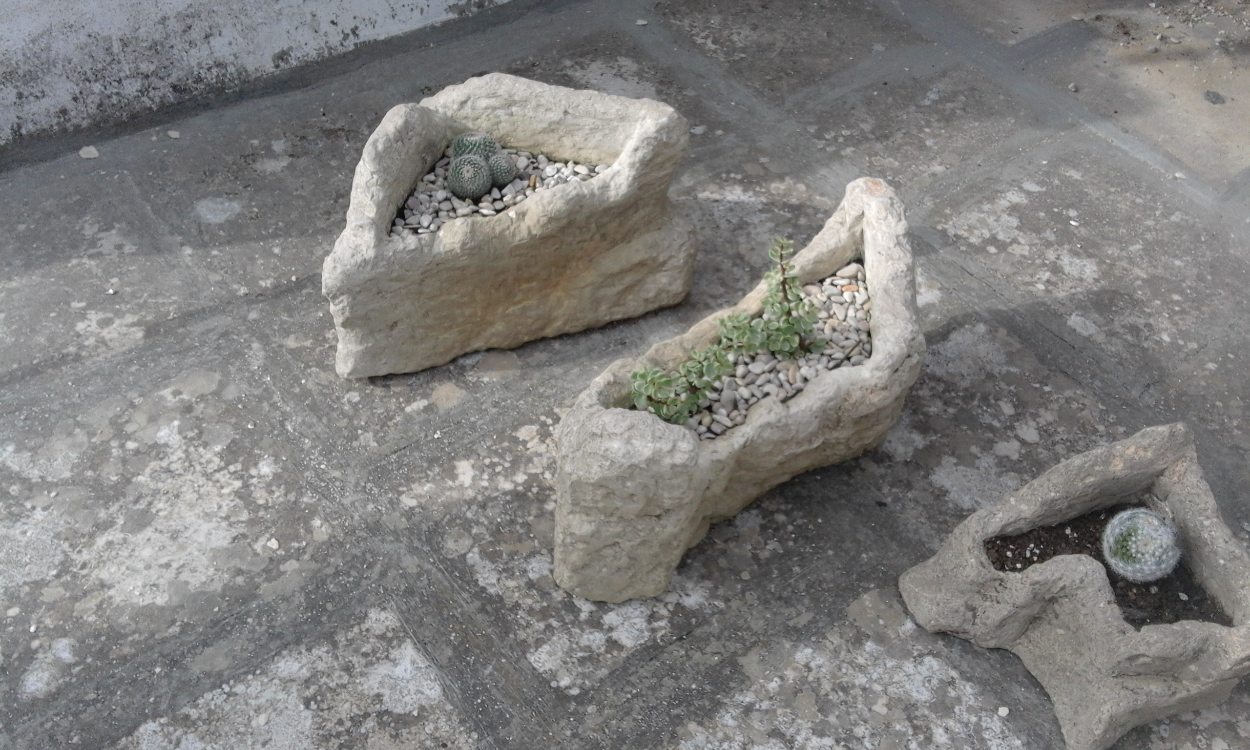 20151113_115005.jpg