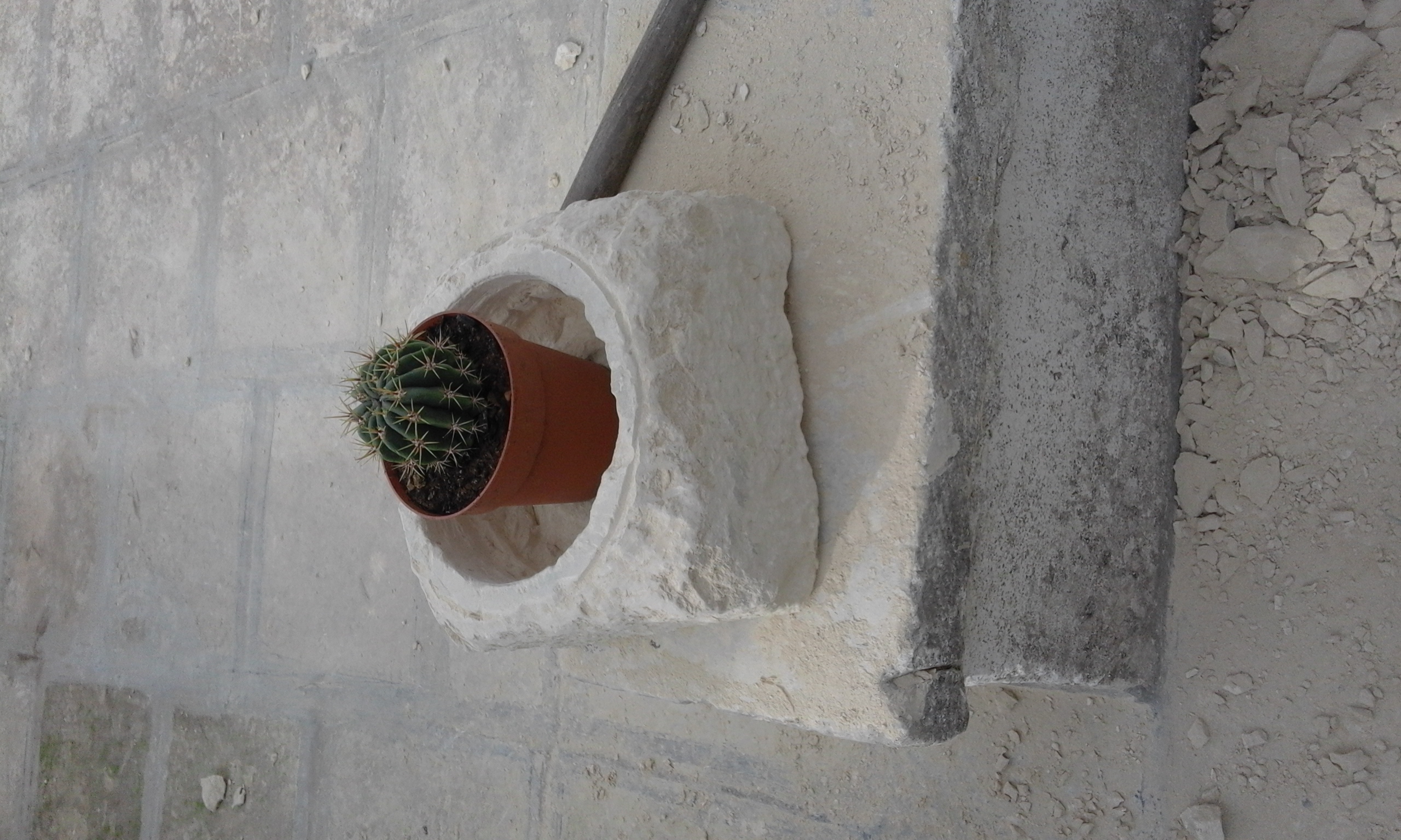 20151113_115034.jpg