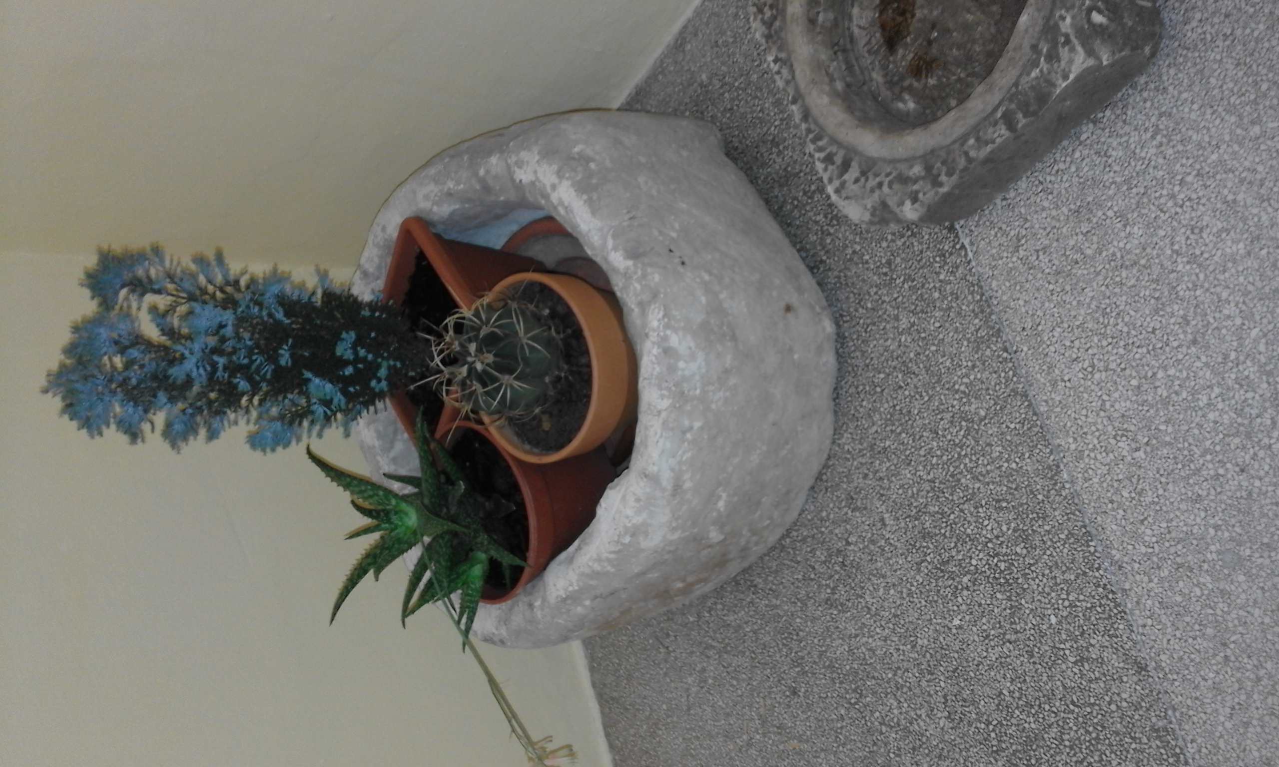 20151113_115451.jpg