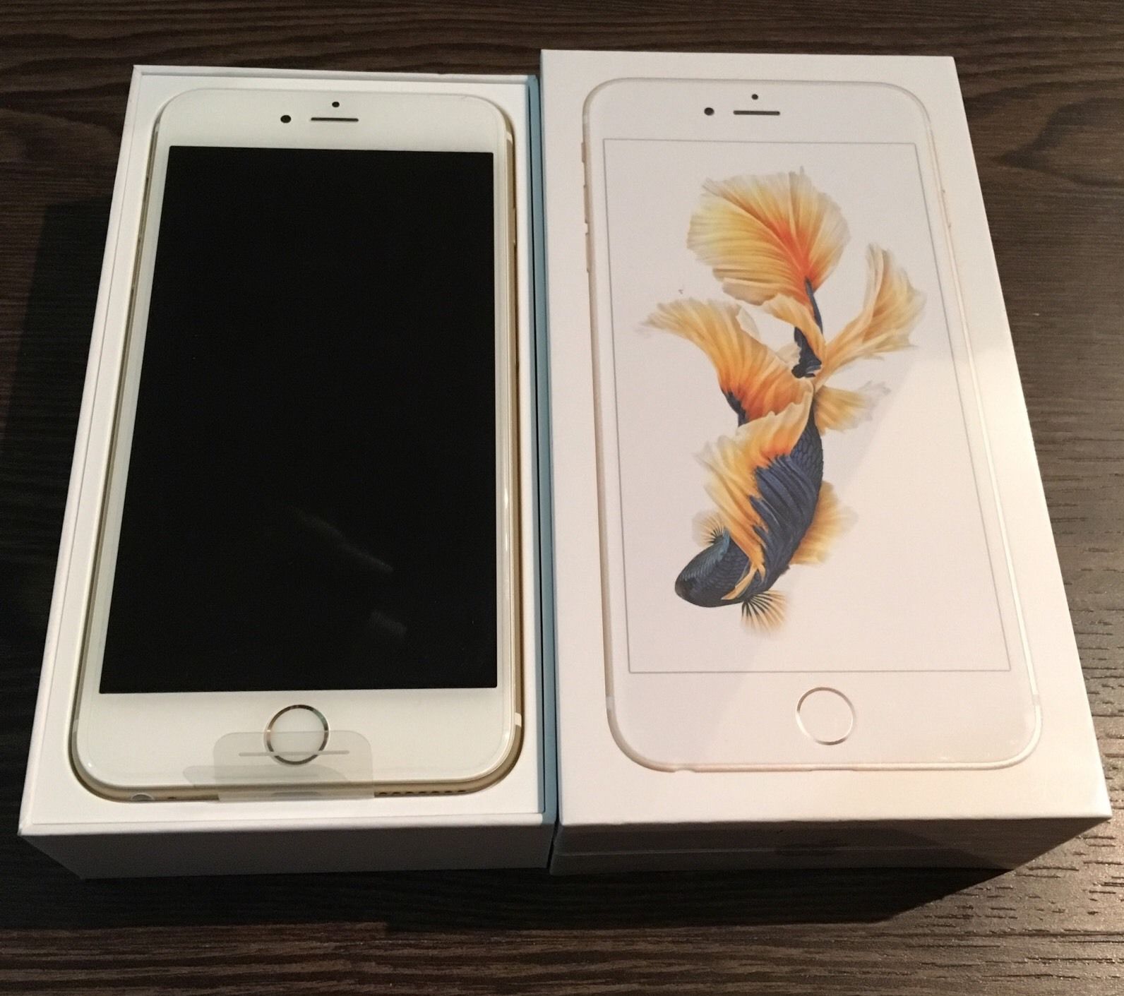 ########gold (11).JPG