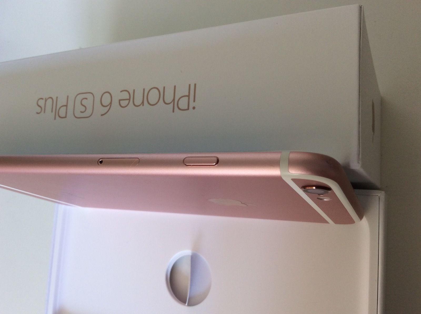 6S PLUS 2.jpg