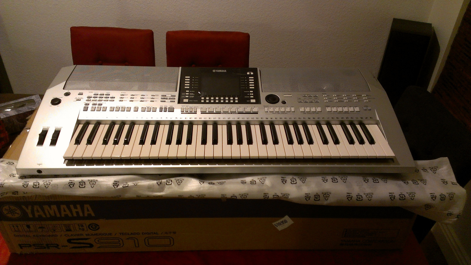 psr 910 - Copy.JPG