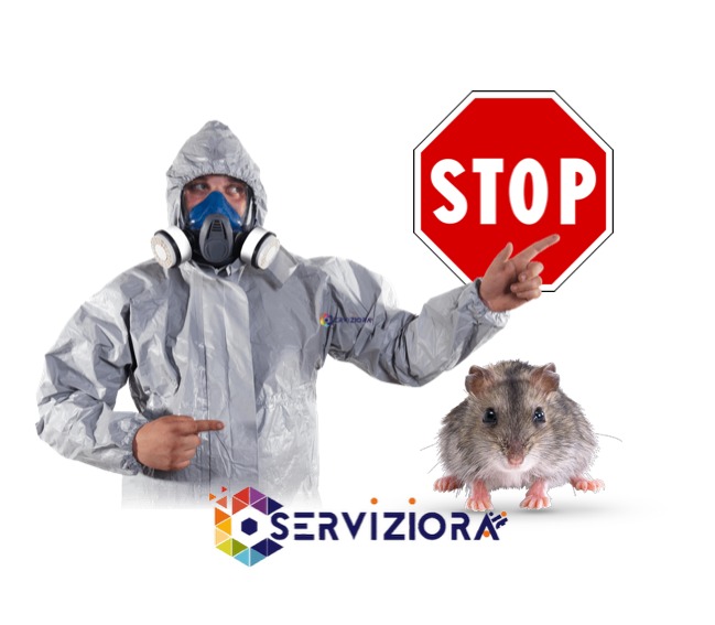 derattizzazione-Professionale.jpeg